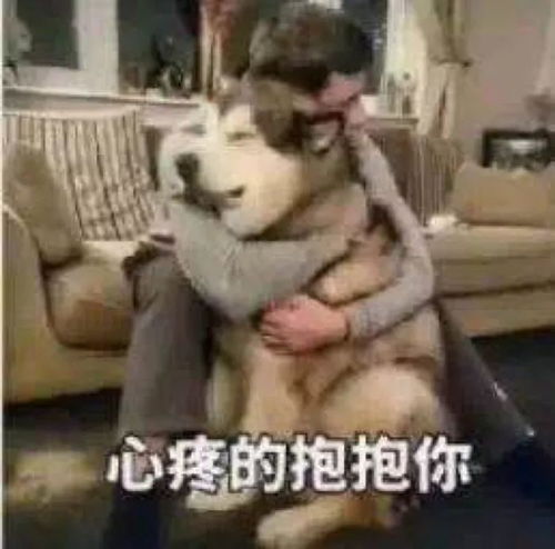  请霸王假导致同事每天加班最后被排挤网友们的评论太精彩了..,