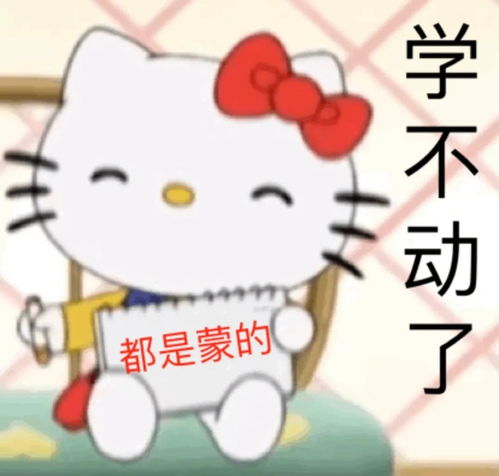  考研1v1咨询考研必备表情包一套在手,考研聊天群从此横着走