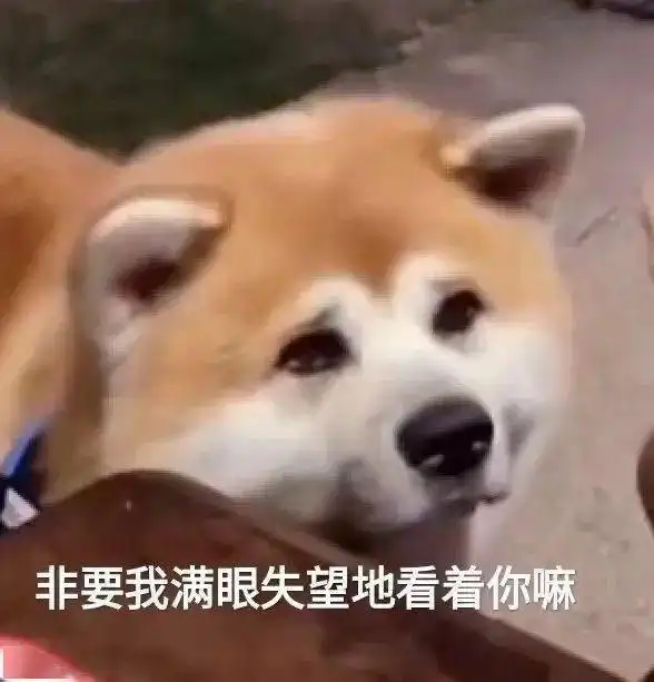  分享下半年来气温新低冷空气再出手,过程最低降至12