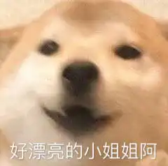  我爱他一辈子追星女孩图片哥哥钓我追星表情包下载乐游网游戏下载