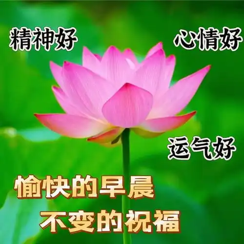  30张最新版早上好表情图片大全,幸福快乐,真情牵挂,珍惜永久早安思念大海钟声网易订阅