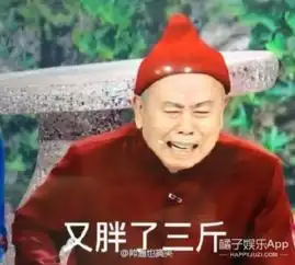  春晚表情包来啦新的一年聊天就用这些了