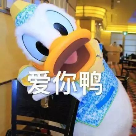  走遍天下去三门峡看天鹅泡温泉,也是一种不错的选择