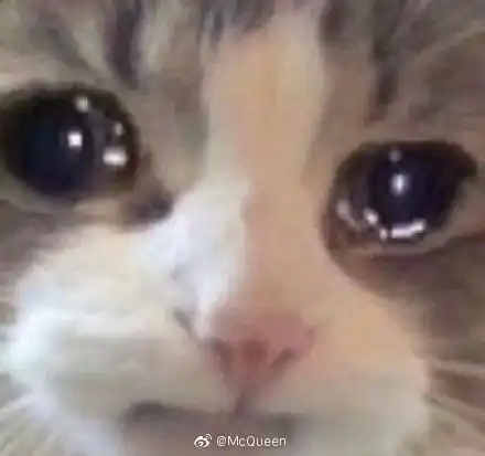 社恐人表情包疫情