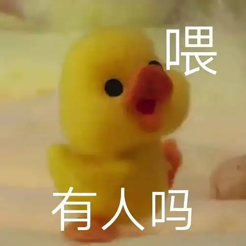 我的收藏  我的收藏