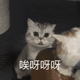  微信聊天可爱表情包宝,多喝热水