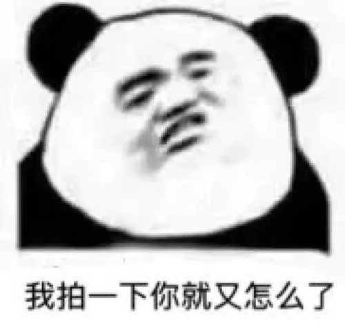 熊猫修仙表情包等级拍一拍
