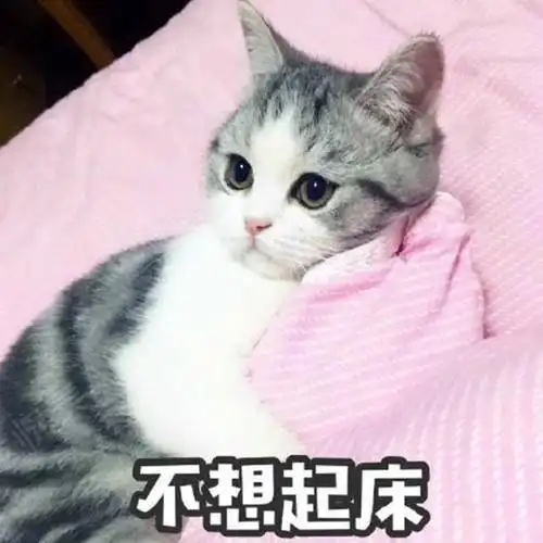 嗨嗨嗨...面部填充悦美整形