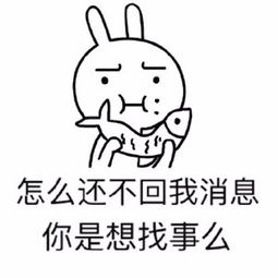  求一张表情包内容是,你怎么还不回我消息大概就是这样,是一个兔子
