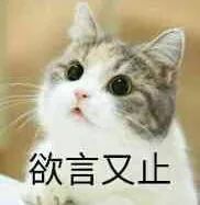  只知道集能量这份双十一必buy清单才是真省钱