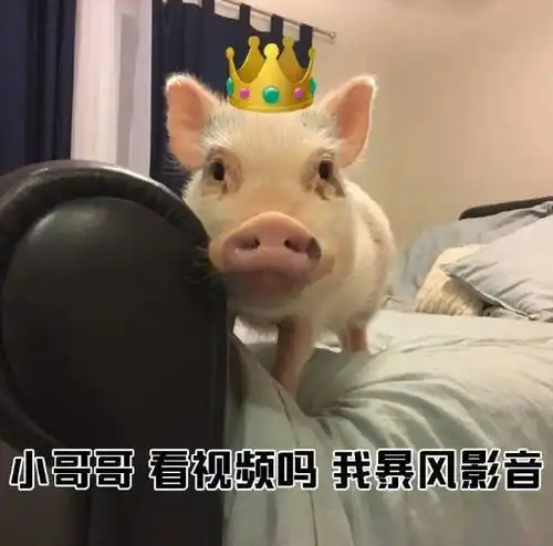 小猪佩琪表情包搭讪