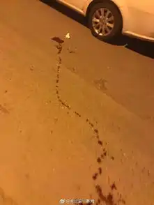 碾死我表情包越野车