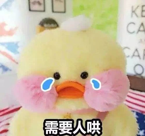  丽丰时代城一份粮缘感恩相遇