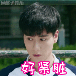 小狐狸gif表情包网站