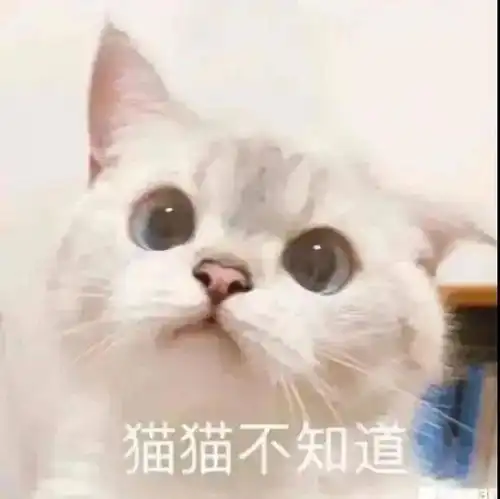 社恐人表情包命中注定的