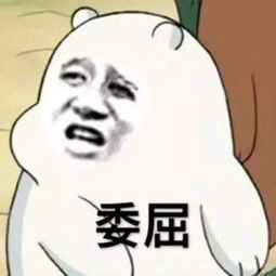  你的忧愁我来解