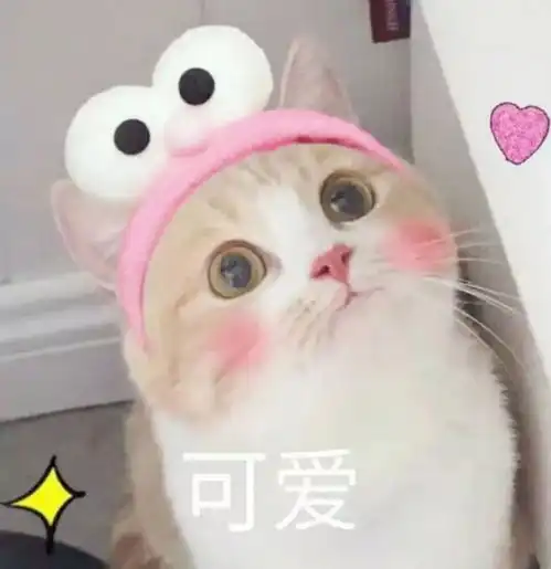  夏天头发总是油腻腻的怎么办教你去除头发油腻的六个小妙招