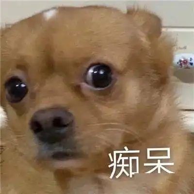  狗的脚臭让人上瘾奇葩主人每天闻十几遍,还将其当作安眠药...
