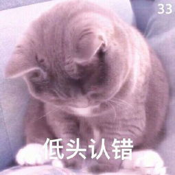 花花送给你表情包我们和