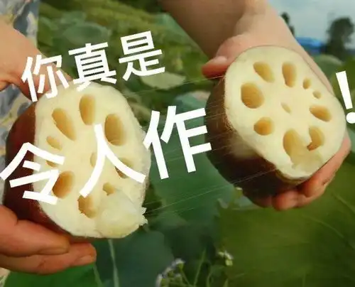  搞笑沙雕表情包真是乌龟办走读,鳖不住校了