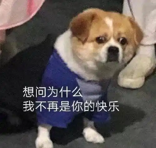  e句话看天下吴某凡一审被判十三年