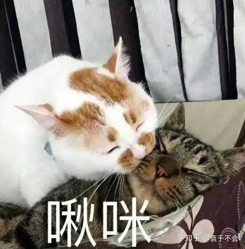  有那些适合用来鼓励或温暖人的图片或是表情包