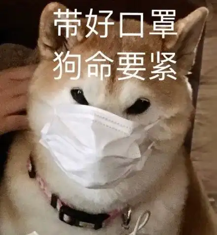 有表情包的软件狗命