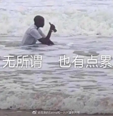 啊花588点券买了鬼谷子 啊花588点券买了鬼谷子