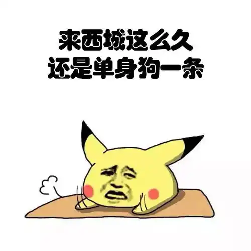  西城版表情包震撼来袭表情党请收好