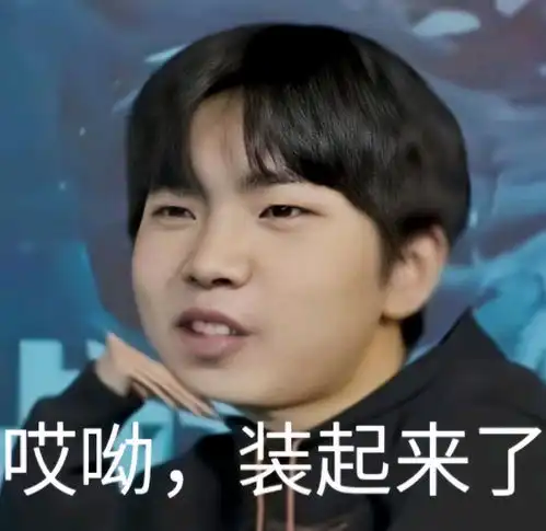  kpl顶流们的表情包无畏九尾钎城葛大爷fly清清