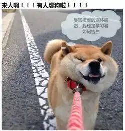 七夕单身表情包熊猫柴犬