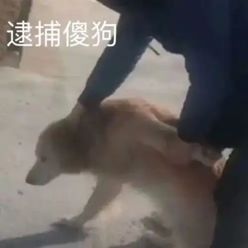  近日收藏的头像气质女人绝不轻易落泪