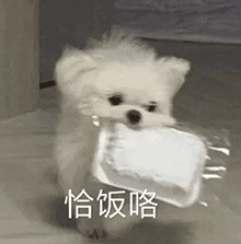  表情包真的不想打工了