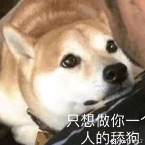  大发平台2023已更新今日统战新语微信公众号