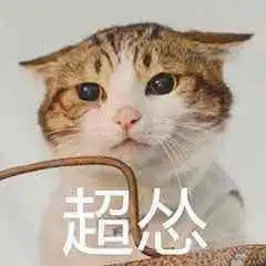 真怂表情包真实一点