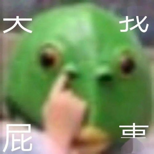  干架专用表情包可以的很实用有点需要了