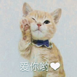  如何挑选合适的钻戒