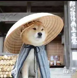  一个很严肃的帖子之家神图神段