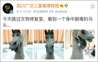  身中剧毒的马头走红这是来自两千多年前的表情包