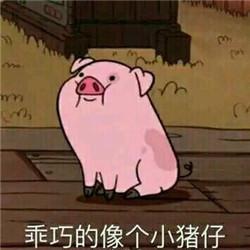  化妆