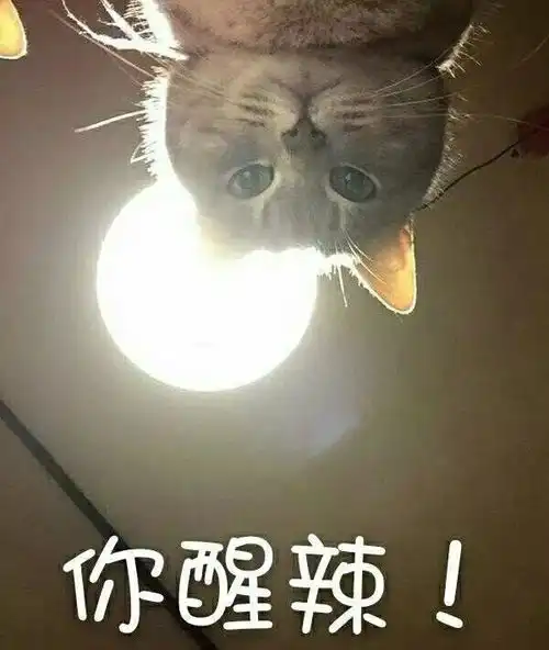  这样可爱的有点过分了妈耶实在太甜了