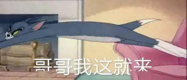  猫和老鼠表情包哥哥我来了
