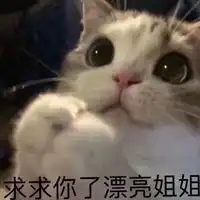  求你了表情包