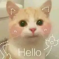 西伯利亚鼯鼠表情包问候