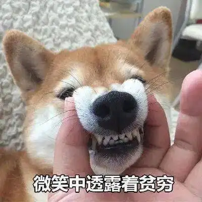  狗狗被咬伤后送去医院,它把医生给咬了......