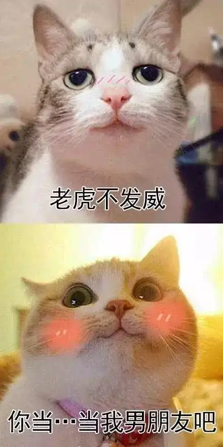 文字撩妹表情包全套句子