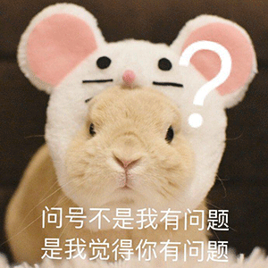  表情包问号不是我有问题
