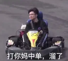  神探苍扒瓜世界赛前skt全员团建旅行,李哥沉迷读书魅力无限,再玩赛车却成表情包