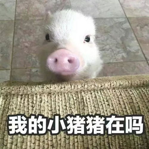  姨妈疼只能多喝热水直男真的看不出女孩子的痛吗