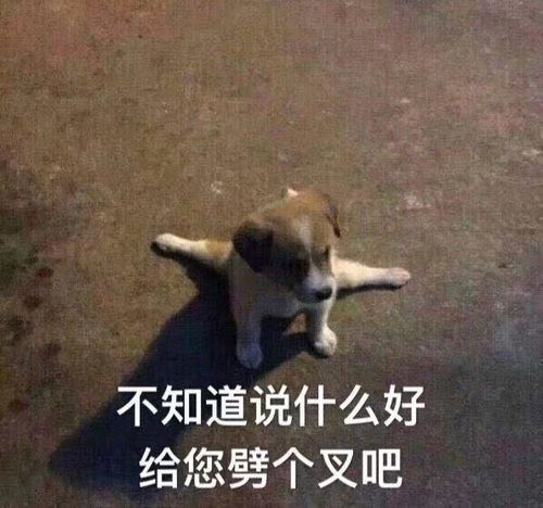  妈卖批